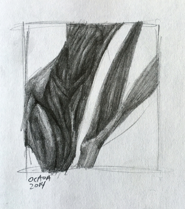 Drawing 7.1.14 by Artist Daniel Ochoa