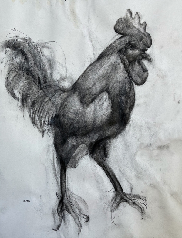 Animal Study 11-3-25 by Artist Daniel Ochoa