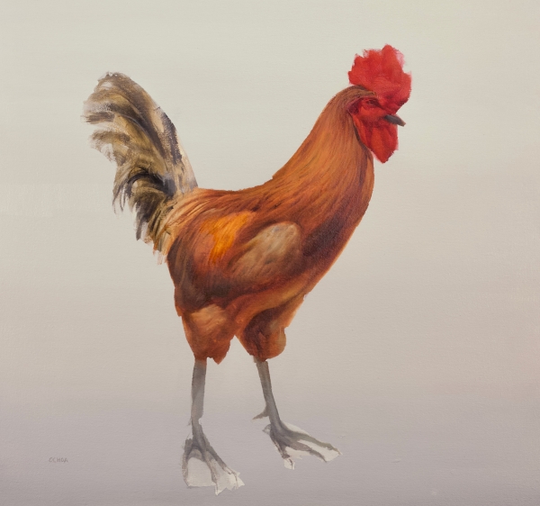 Animal 6-24 by Artist Daniel Ochoa