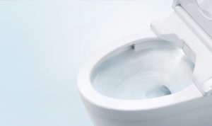 Nắp bồn cầu thông minh TOTO TCF4911Z