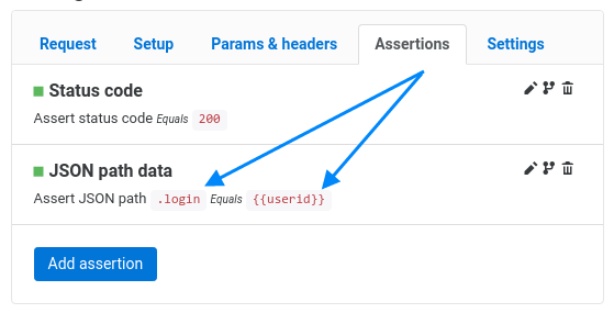 JSON API response assertion