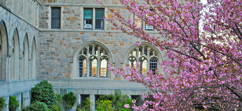 Boston College Overview Plexusscom