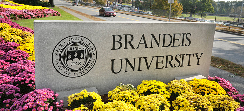 Brandeis University Tuition >> Brandeis University Overview Plexuss Com Brandeis University Tuition >> Brandeis University Overview Plexuss Com
