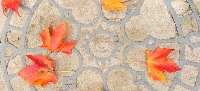 sarah lawrence application essay sarah lawrence application essay