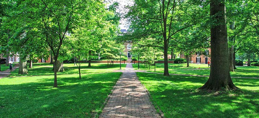 Ou admissions essay