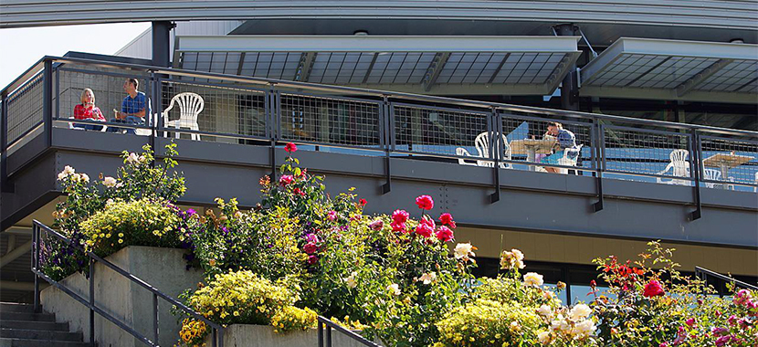 Health Informatics Oregon Institute Of Technology Health Informatics Oregon Institute Of Technology