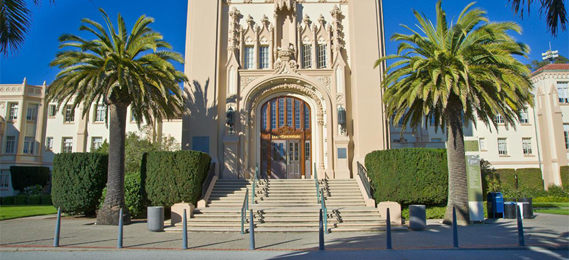 University of san francisco essay