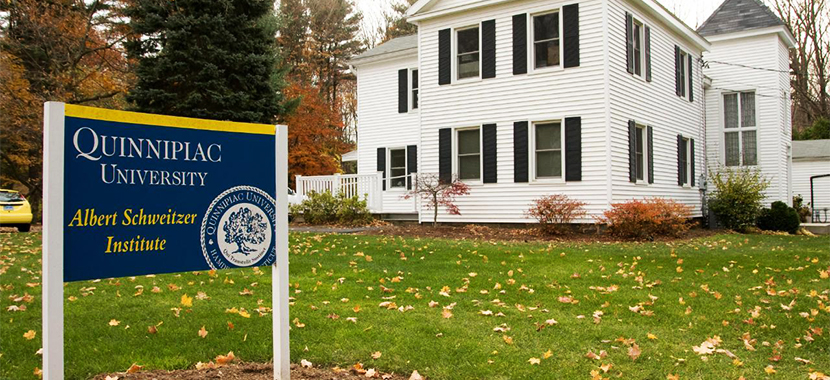 Quinnipiac admission essay