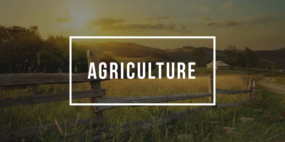 Major in Agriculture Agriculture Degree Programs Plexuss