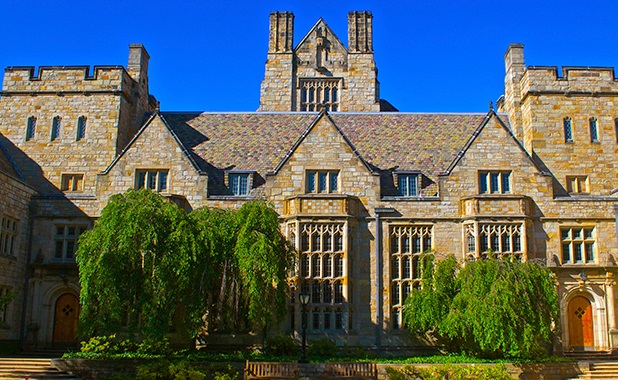 Essay that got into yale