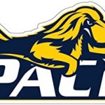 Pace University