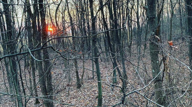 Pennsylvania history makers: One down, two days left of Sunday hunting