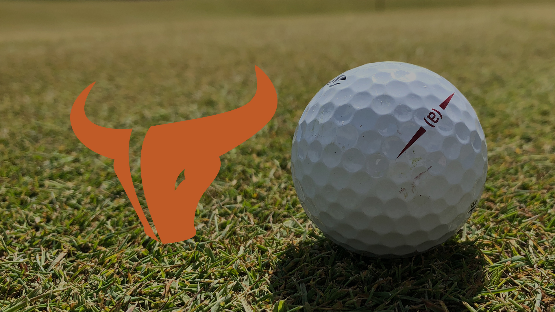 Mead High School’s Timbre Shehee wins regional golf title BVM Sports