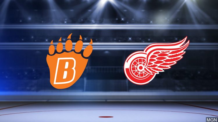 Wyatt Newpower signs with Detroit Red Wings