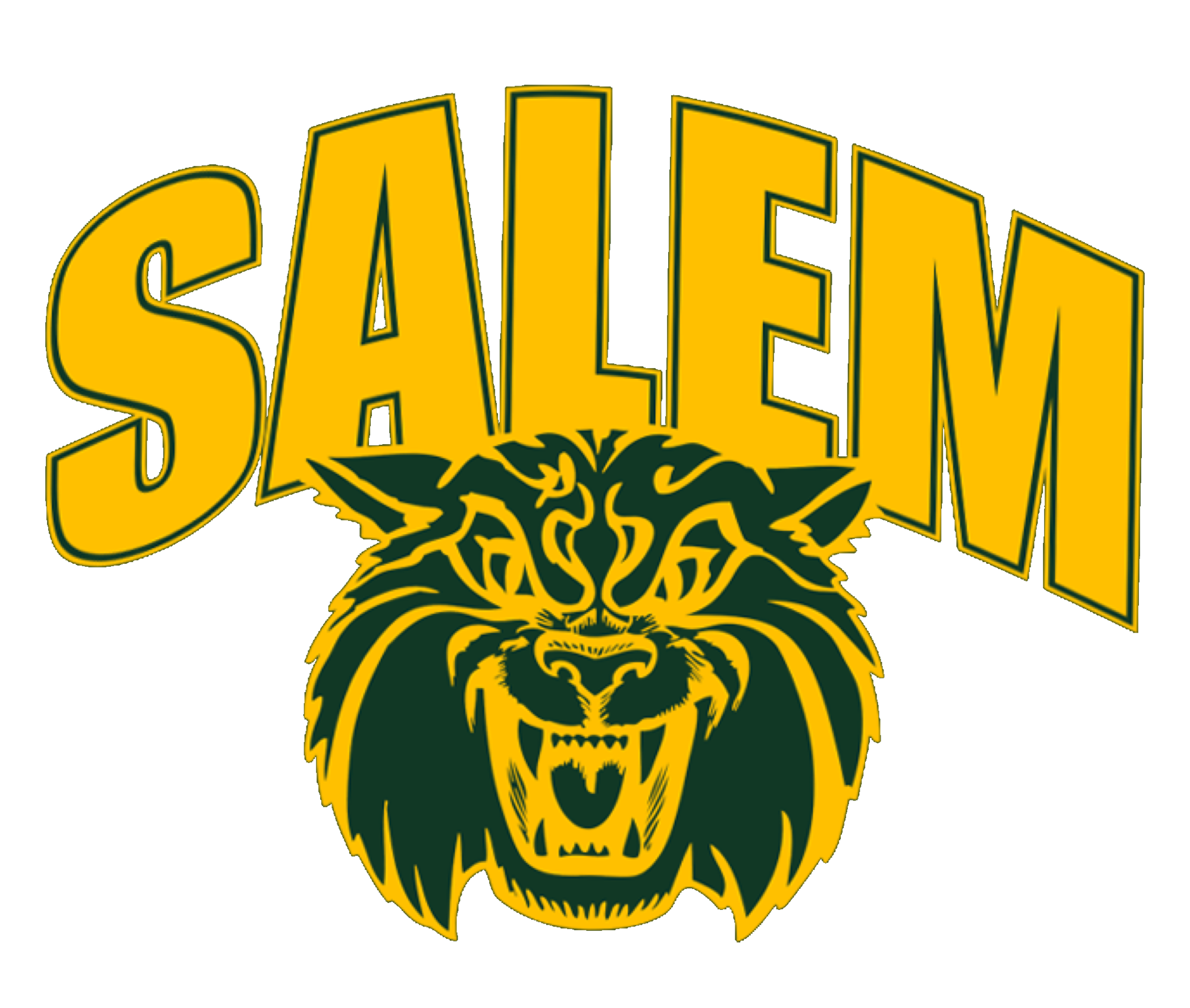 Salem Attendance Center Wildcats Girls Volleyball Tylertown, MS BVM