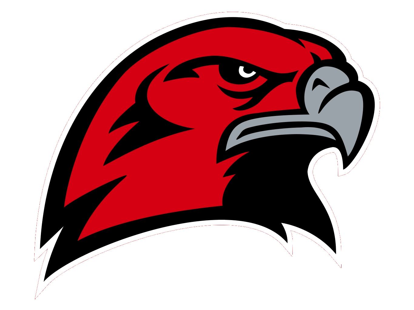 Hamburg Area Hawks Athletics Hamburg, PA BVM Sports