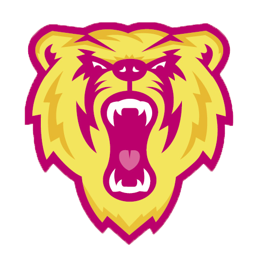 Barron Golden Bears Athletics Barron, WI BVM Sports