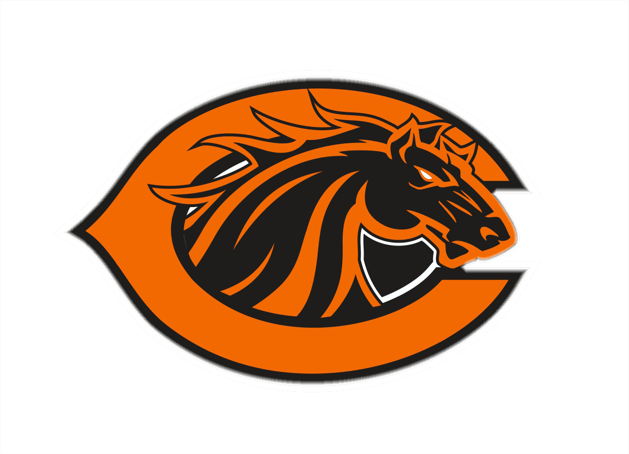 Clio Mustangs Football Schedule Clio, MI BVM Sports