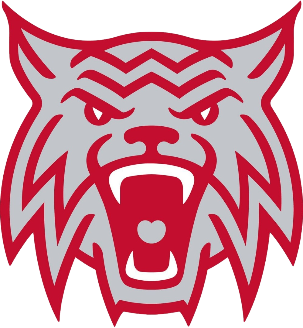 Woodrow Wilson Wildcats Athletics Dallas, TX BVM Sports