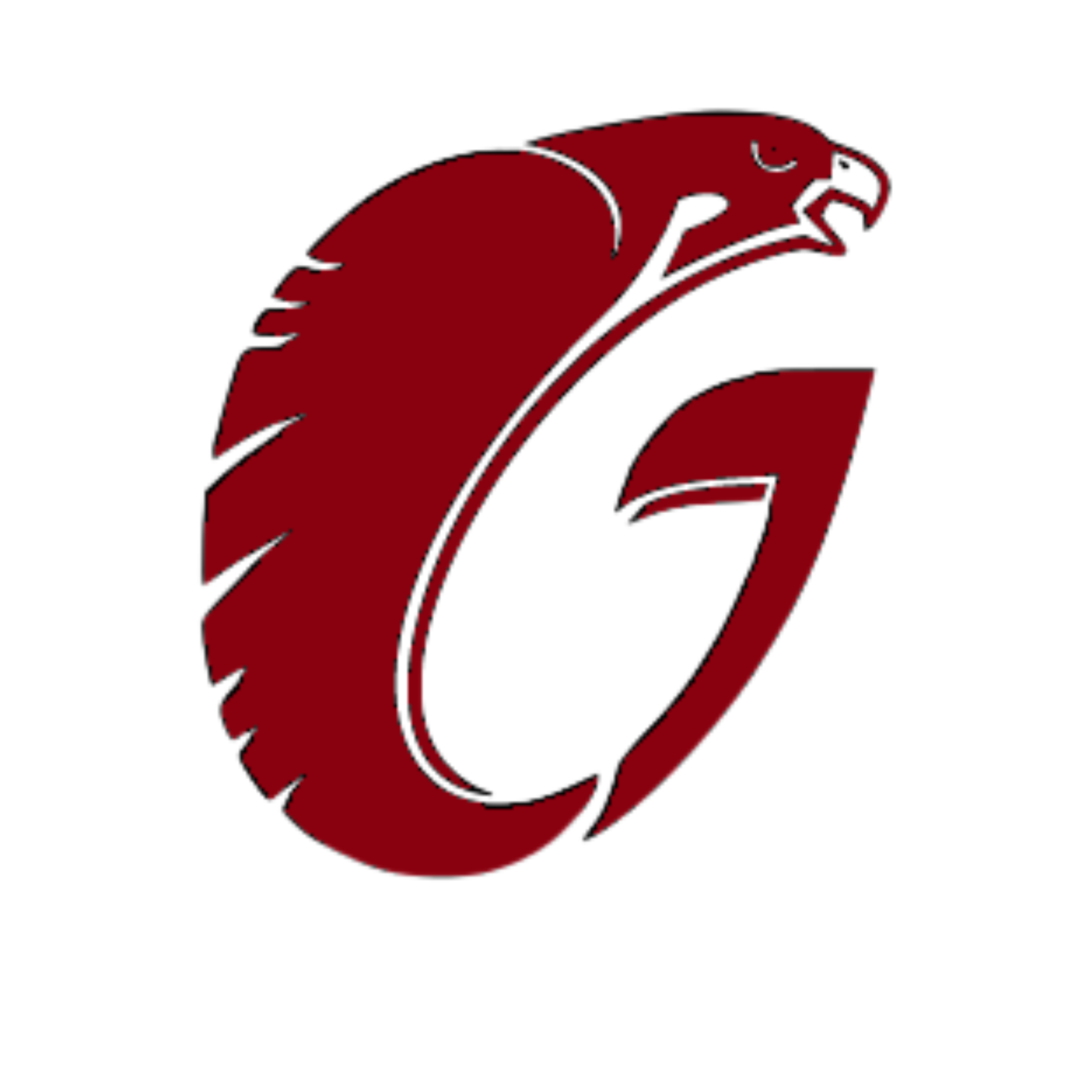 Gerstell Academy Falcons Girls Basketball Schedule Finksburg, MD