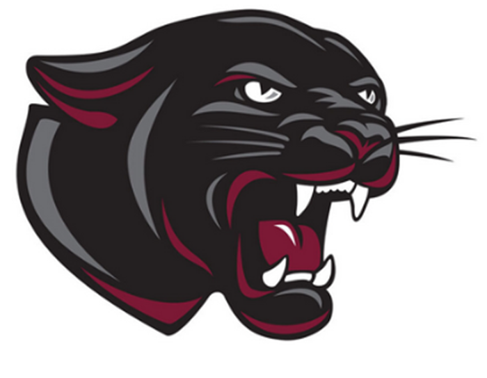 Parchment Panthers Athletics Parchment, MI BVM Sports