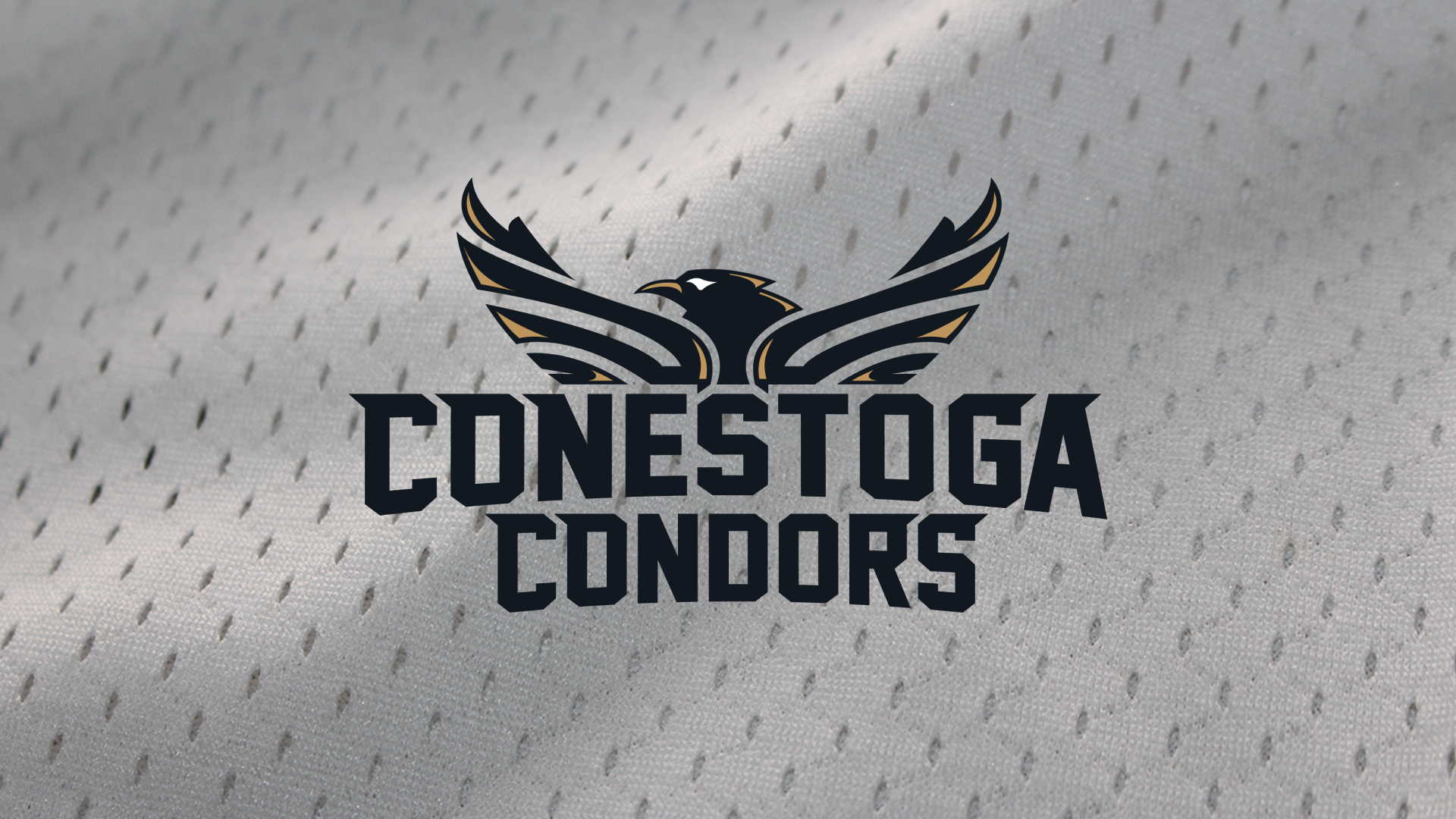 Condors complete the 12 Days of Christmas fitness challenge BVM Sports