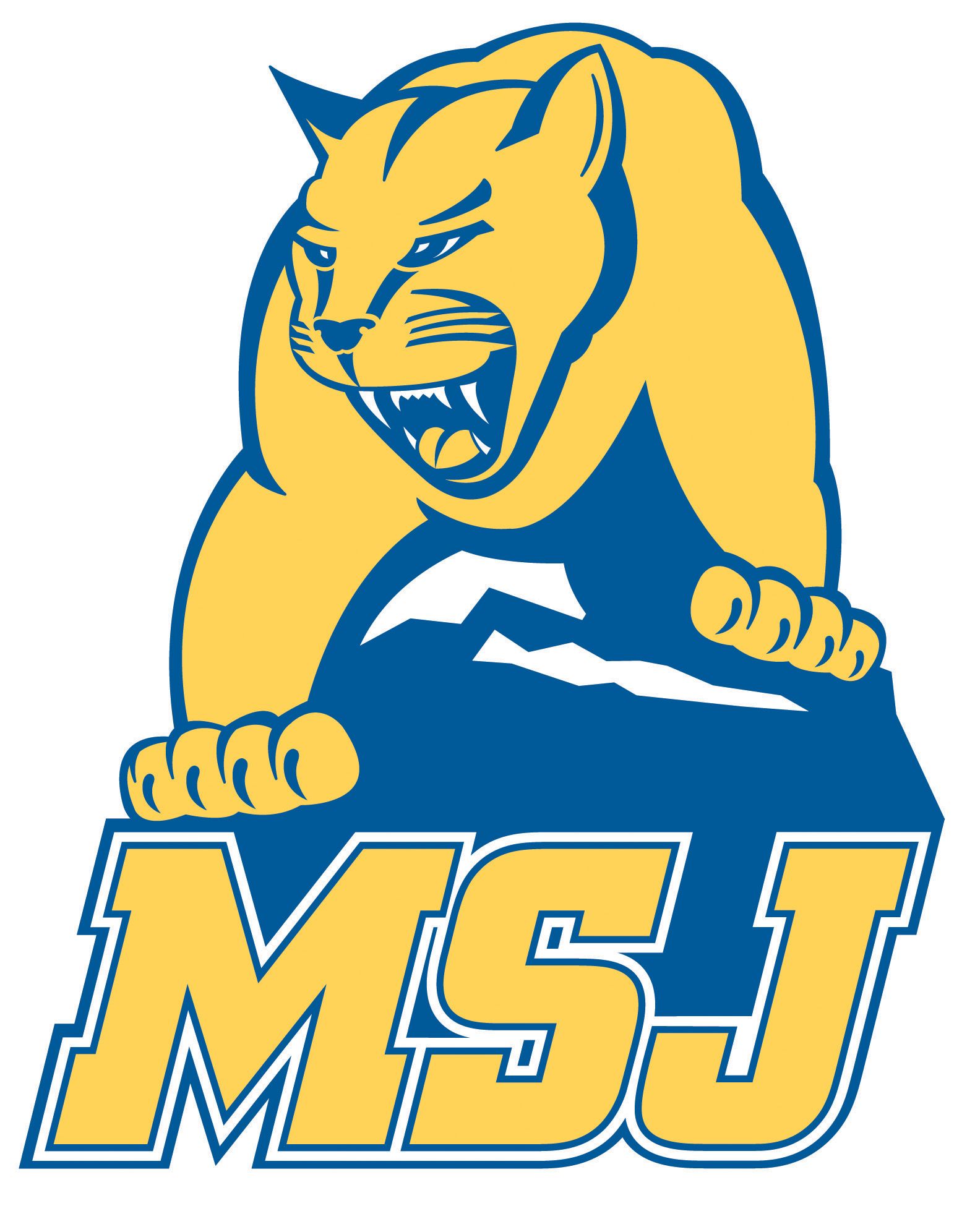 College of Mount St. Joseph