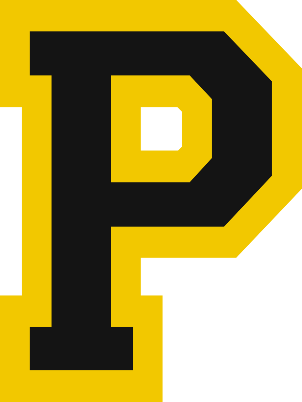 Panther Valley Panthers Football Lansford, PA BVM Sports