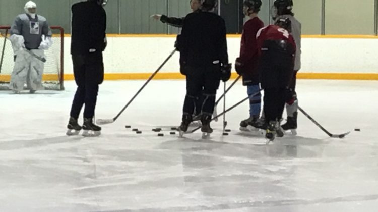 Pro women’s hockey league to hold playoffs in Florida