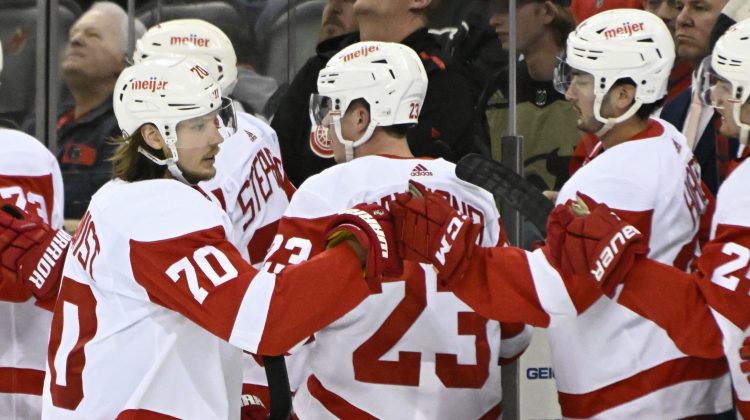 Nedeljkovic makes 17 saves, Red Wings blank Devils 3-0