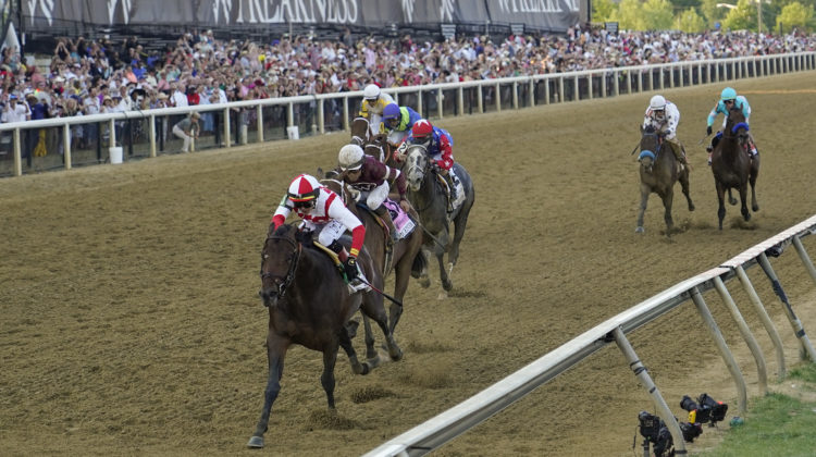Filly Secret Oath runs hard to finish fourth in Preakness