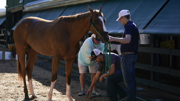 Another Triple Crown long shot? Fenwick is 50-1 in Preakness