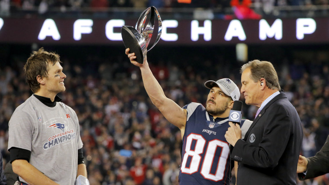 Danny Amendola career overview