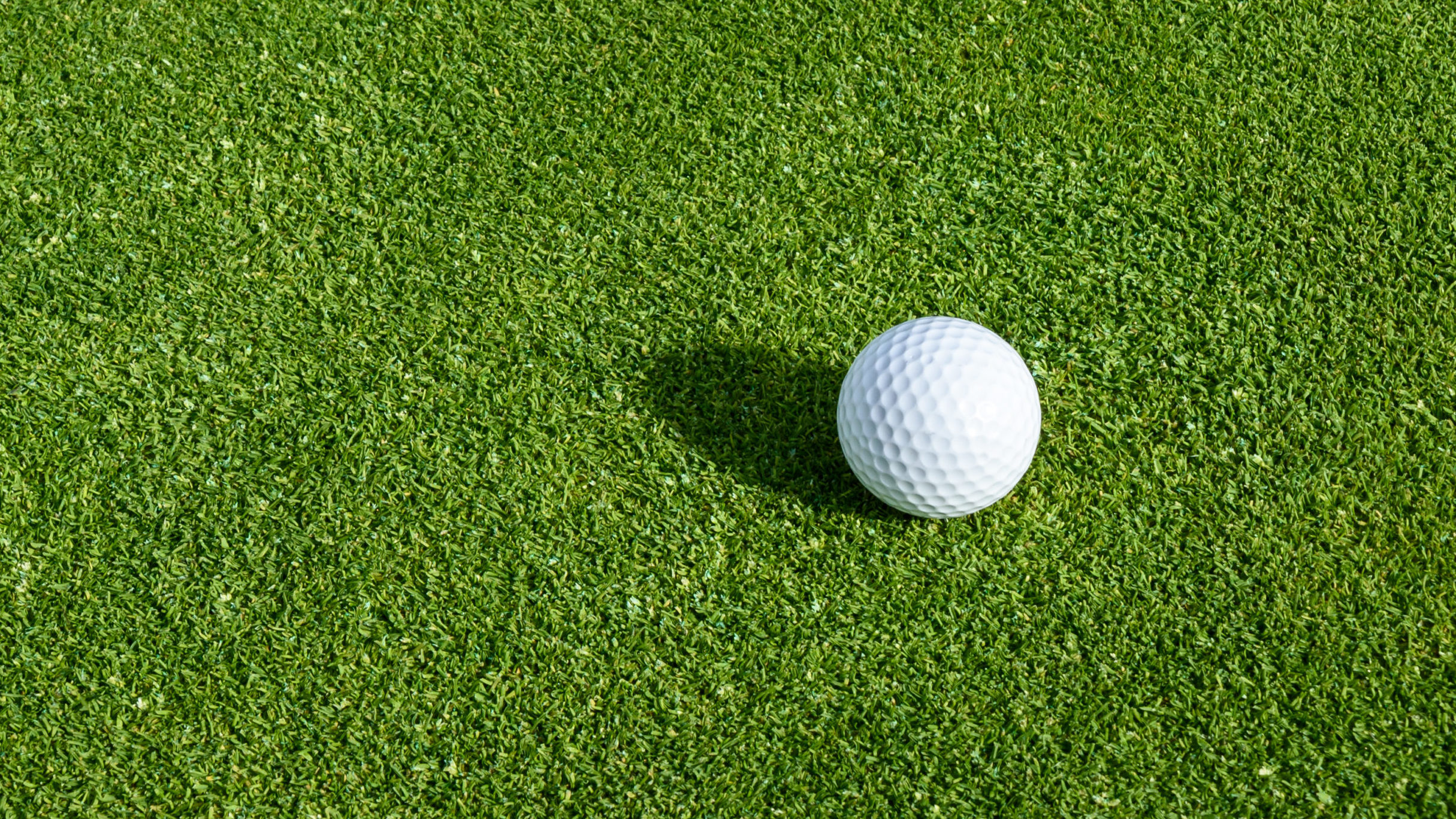 A guide to common golf course grasses BVM Sports