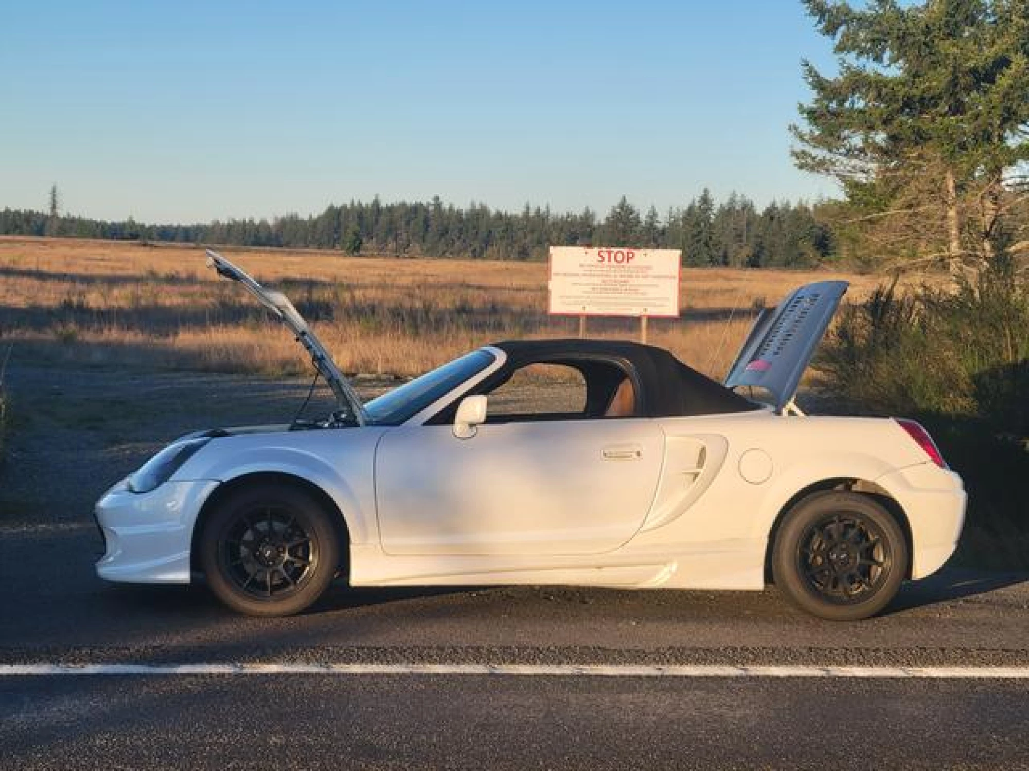 2001 Toyota MR2 Spyder