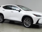 2024 Lexus NX 350 Luxury