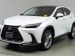 2024 Lexus NX 350 Luxury