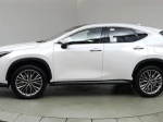 2024 Lexus NX 350 Luxury