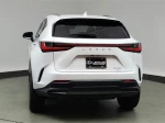 2024 Lexus NX 350 Luxury