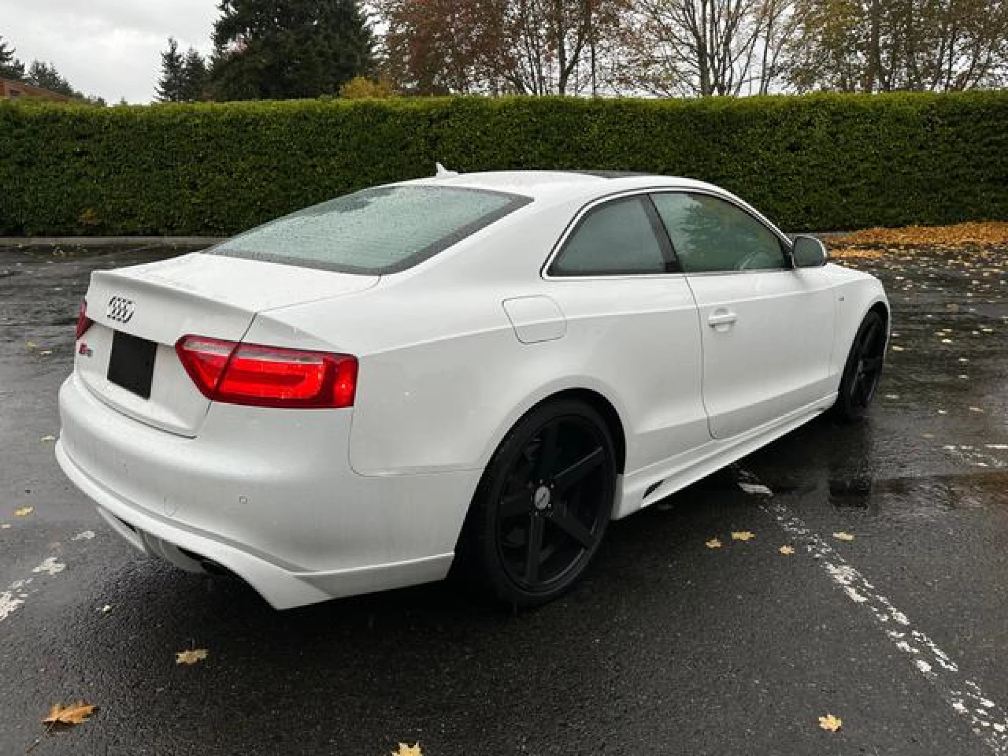 2009 Audi S5 4.2L (M6)