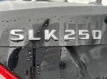 2012 Mercedes-Benz SLK-Class SLK 250