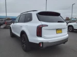 2023 Kia Telluride SX-Prestige X-Pro