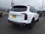 2023 Kia Telluride SX-Prestige X-Pro