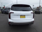 2023 Kia Telluride SX-Prestige X-Pro