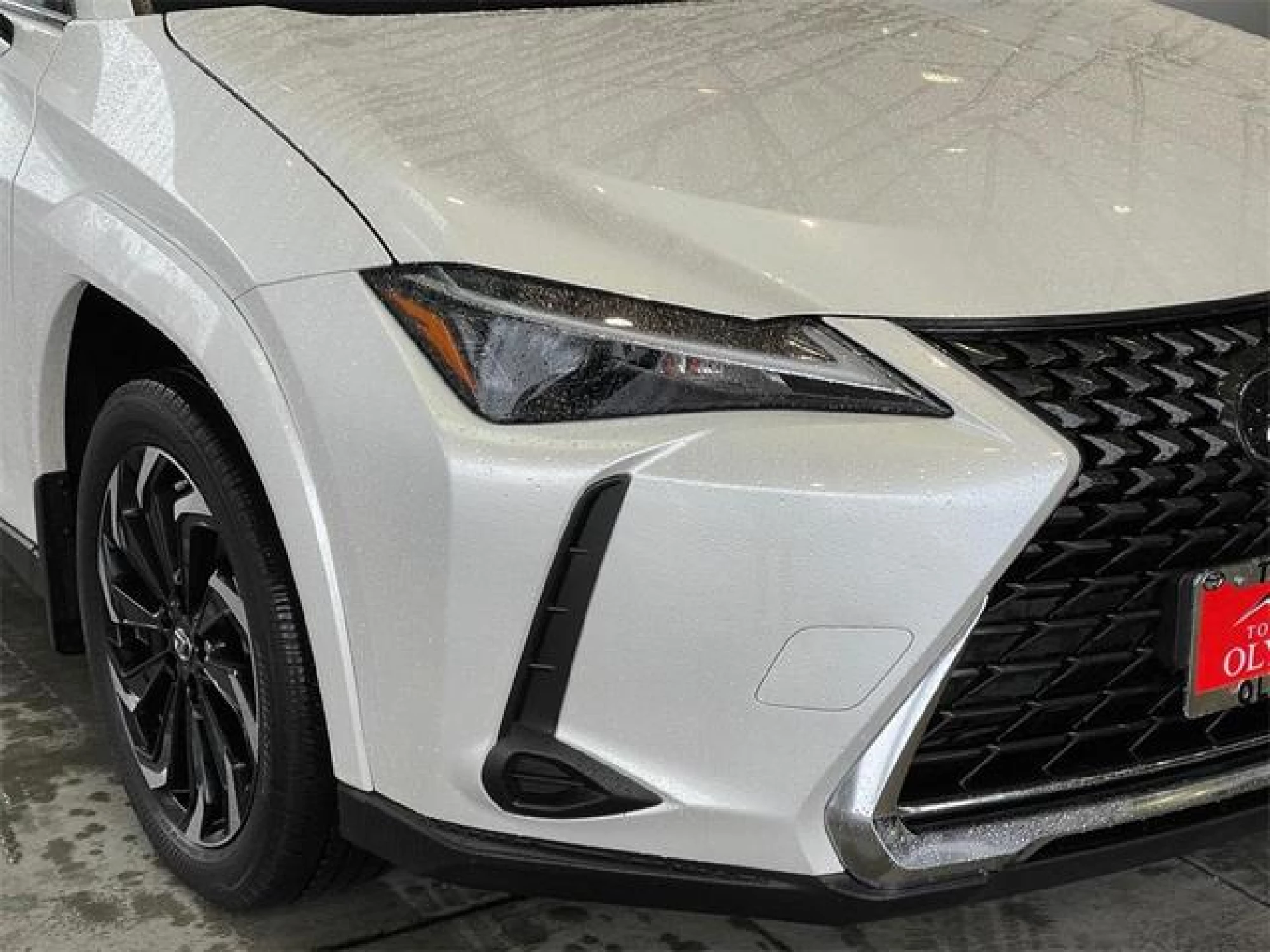 2023 Lexus UX 250h Premium