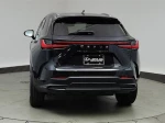 2024 Lexus NX 350h Premium