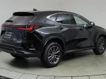 2024 Lexus NX 350h Premium