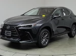 2024 Lexus NX 350h Premium