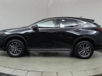 2024 Lexus NX 350h Premium
