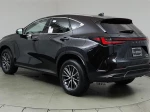 2024 Lexus NX 350h Premium
